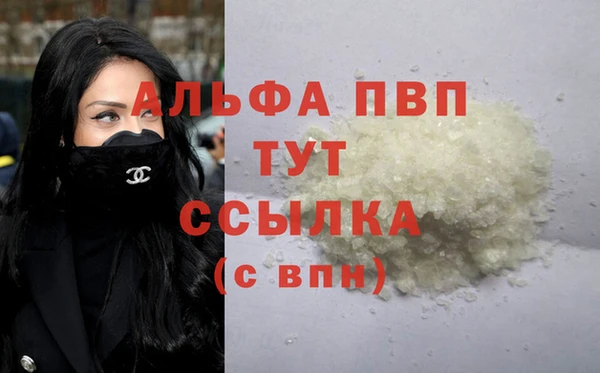 гашик Абаза