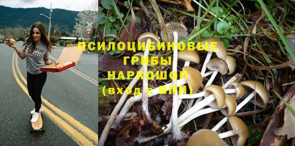 гашик Абаза