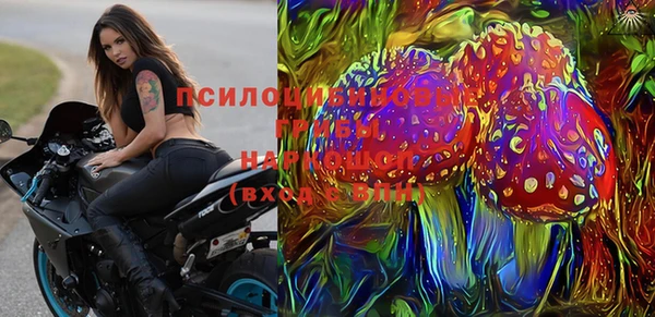 гашик Абаза