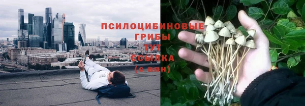 гидропоника Абдулино
